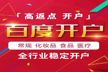 行业领先企业的网络推广与竞价经验